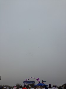 The doves flying over our heads as we started.